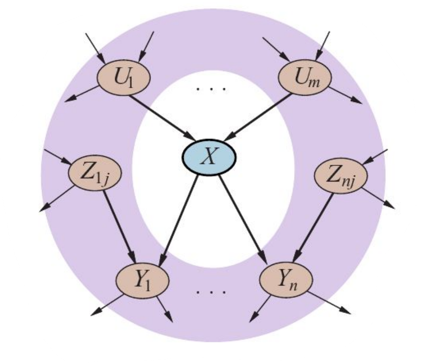 Markov Blanket Esercizi STEM